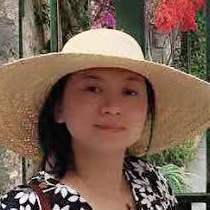 Image Description